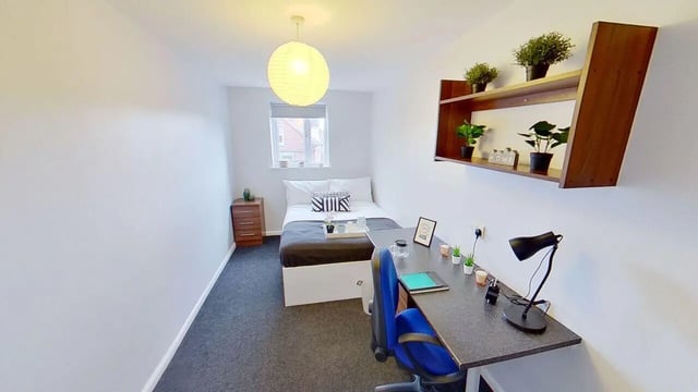 Bed desk lamp plants and shelf bedroom at 6 Albert Square in Nottingham Student Accommodation