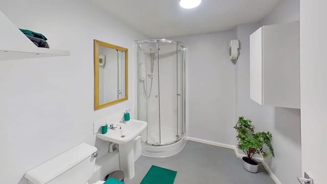 Toilet sink shower cabinet plant bathroom at 6 Albert Square in Nottingham Student Accommodation