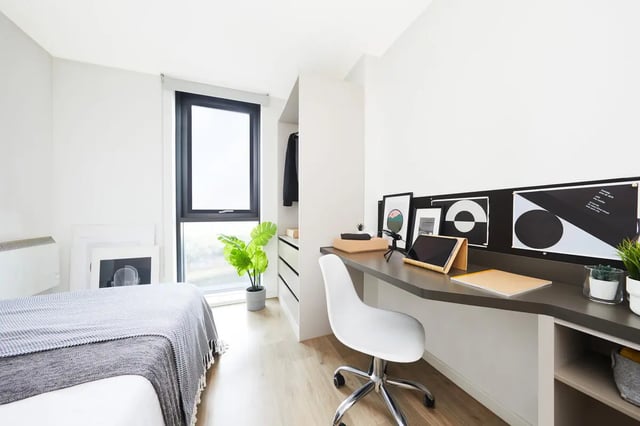 Bed desk plant and window bedroom study area at Collegiate Bagot Street in Birmingham Student Accommodation