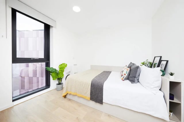 Bed with plant and window Bedroom at Collegiate Bagot Street in Birmingham Student Accommodation