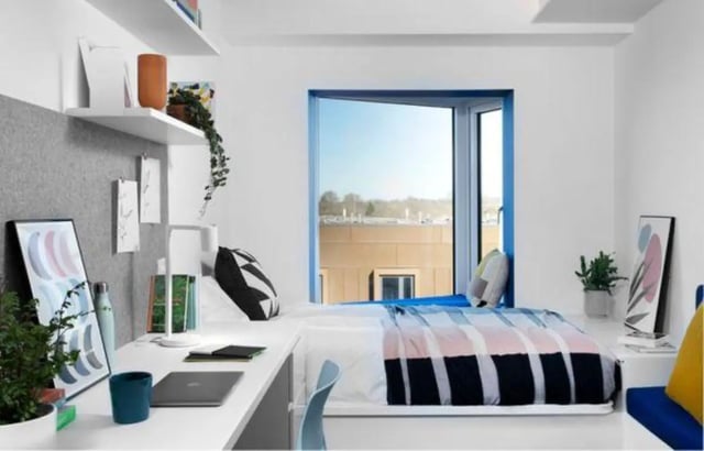 Desk bed shelves plants artwork laptop study area bedroom at Scape Guildford in Guildford Student Accommodation