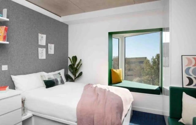 Bed plant window seat green sofa bedroom at Scape Guildford in Guildford Student Accommodation