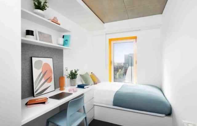 Desk bed shelves art window bedroom at Scape Guildford in Guildford Student Accommodation