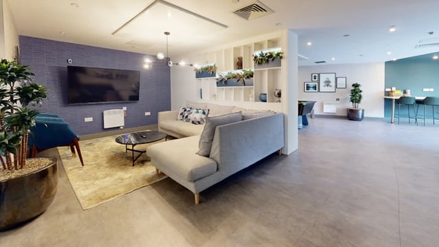 Sofa television rug chairs plant common area at 33 Parkside in Coventry Student Accommodation