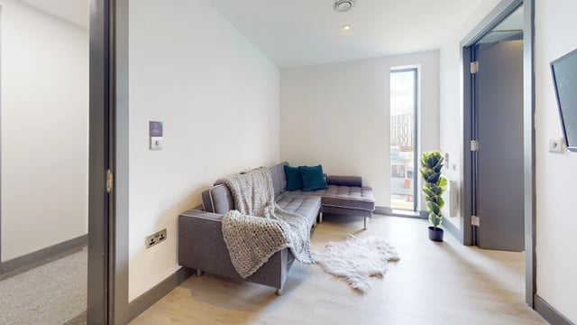 Sofa throw rug plant living room at 33 Parkside in Coventry Student Accommodation