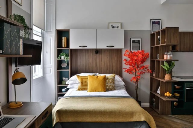 Bed desk tv shelves and artificial tree bedroom at South Bridge in Edinburgh Student Accommodation