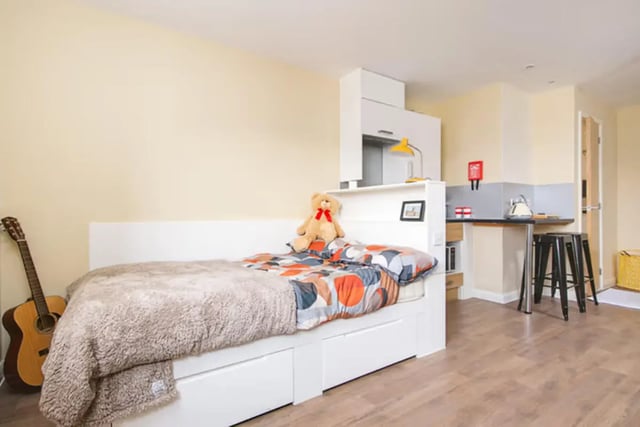 Bed with teddy guitar and kitchen area studio apartment at Llys Y Deon in Bangor Student Accommodation