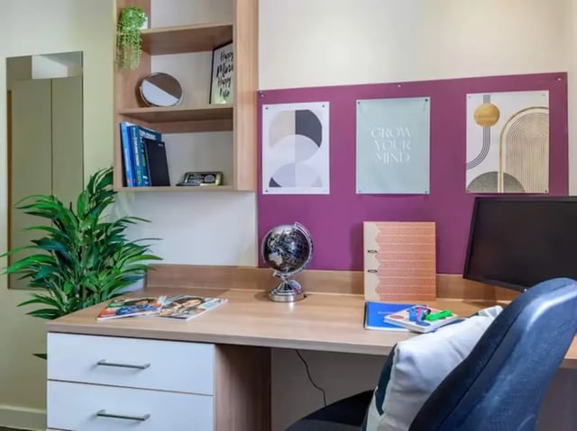Desk with globe plant and monitor study area at Neuadd Kyffin in Bangor Student Accommodation