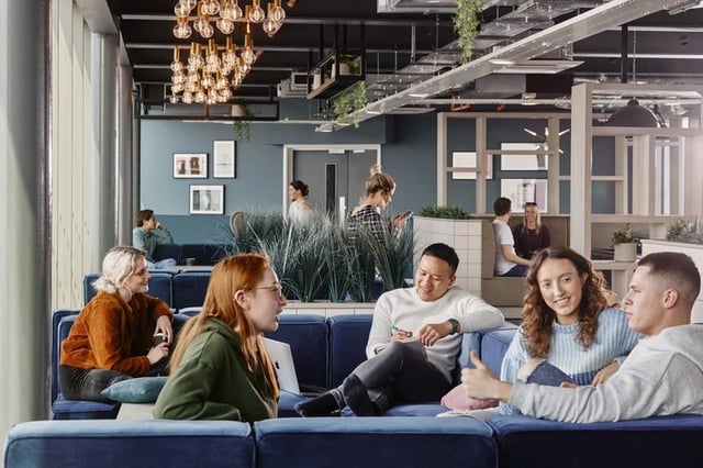 Students on blue sofas with laptop and plants Living Area at Horizon Heights in Liverpool Student Accommodation