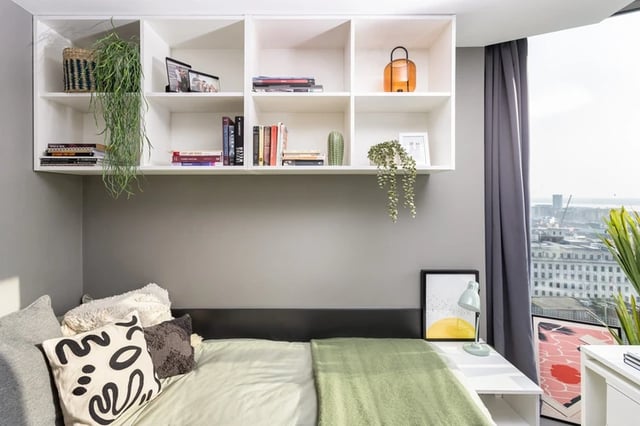Bookshelves plants pillows bed and city view bedroom at Horizon Heights in Liverpool Student Accommodation