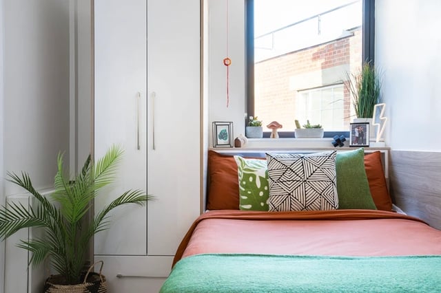 Bed with pillows plants wardrobe and window bedroom at Arbour House in London Student Accommodation