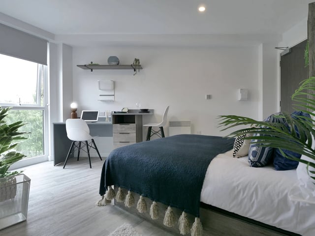Bed desk plant and window bedroom at Urban Hub in Preston Student Accommodation