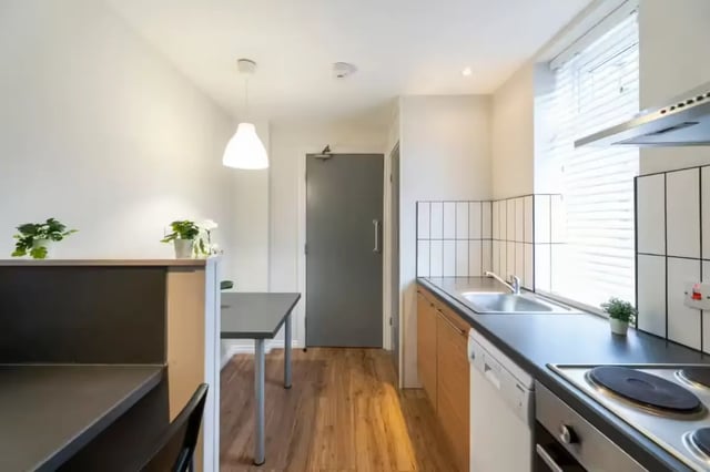 Kitchen with table counter appliances and plants kitchen at 29 Trewhitt Road in Newcastle Upon Tyne Student Accommodation