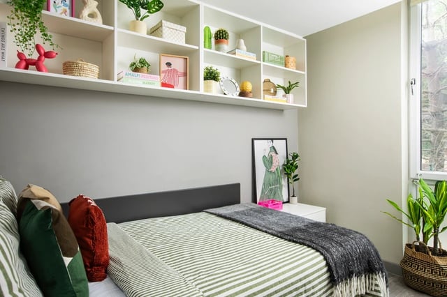 Bed with green striped duvet plants and shelves Bedroom at Beech House in Oxford Student Accommodation