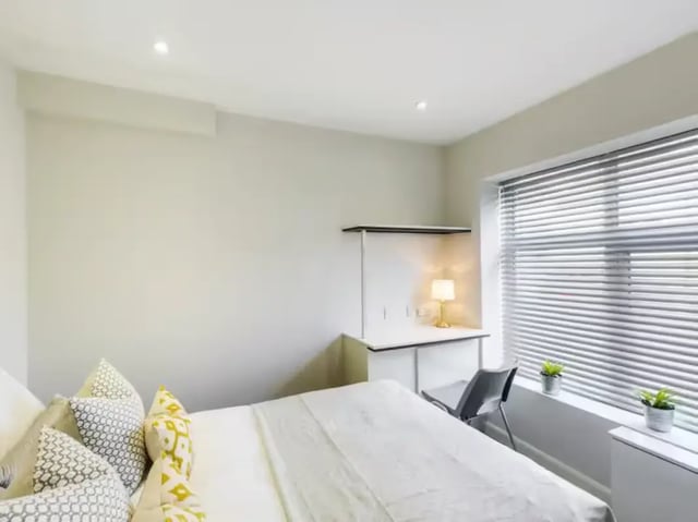 Bed desk chair lamp plants bedroom at 2 Queen Anne Street in Stoke-On-Trent Student Accommodation