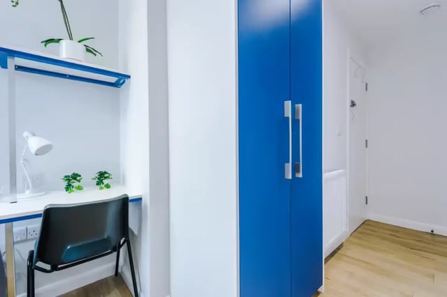 Desk lamp chair plants and blue wardrobe bedroom at 32 Cauldon Road in Stoke-On-Trent Student Accommodation