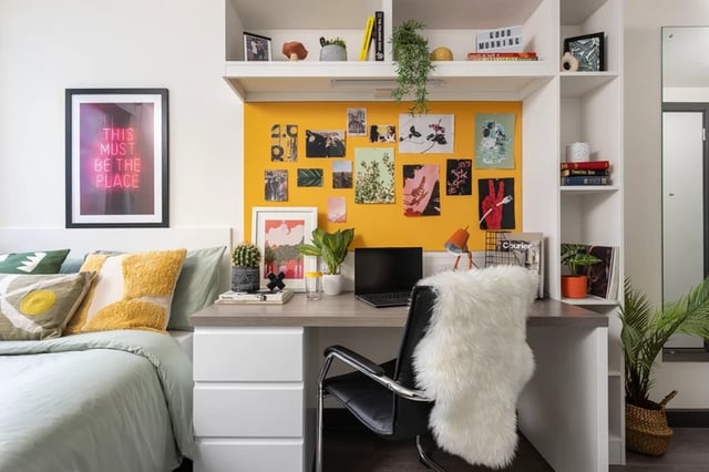 Desk bed with chair artwork and plants bedroom at Brass Founders in Sheffield Student Accommodation