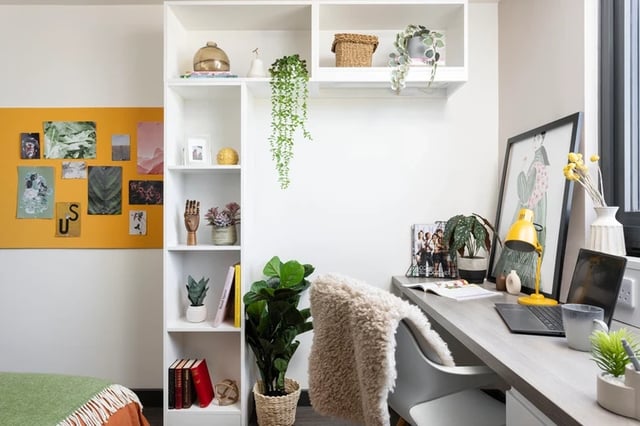 Desk, shelves, art, plants, bedding, study area at Brass Founders in Sheffield Student Accommodation