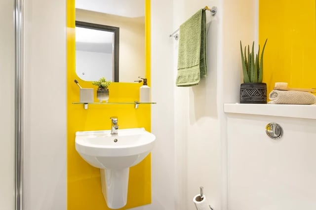 Sink mirror towel plant decorative pot bathroom at Brass Founders in Sheffield Student Accommodation