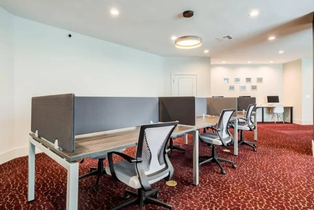 Desks chairs partitions computer monitors study area at The Nest At University Center in Rock Hill Student Accommodation