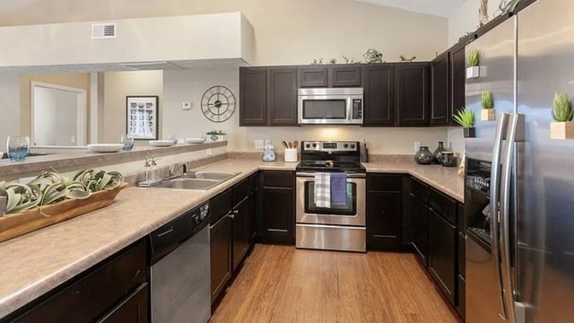 Dark cabinets stainless steel appliances kitchen at The Hangout in Starkville Student Accommodation