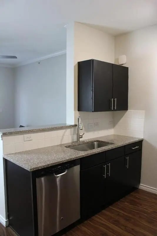 Dark cabinets sink and dishwasher kitchen at 21 Pearl in Austin Student Accommodation