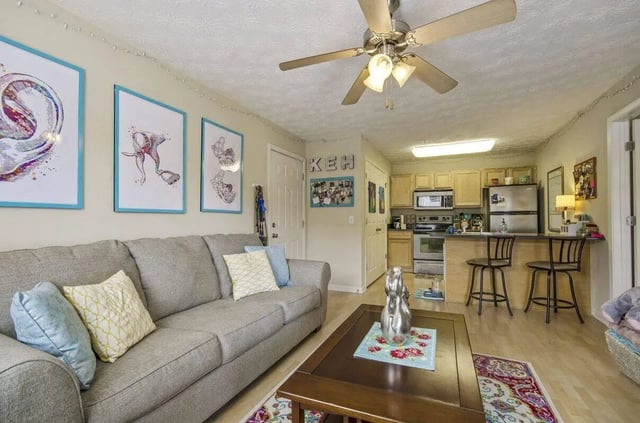 Gray sofa kitchen area and framed art living room at Logan Square in Auburn Student Accommodation