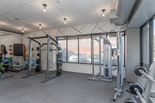 Weight machines exercise balls and punching bag gym at Vue on Walnut in Springfield Student Accommodation
