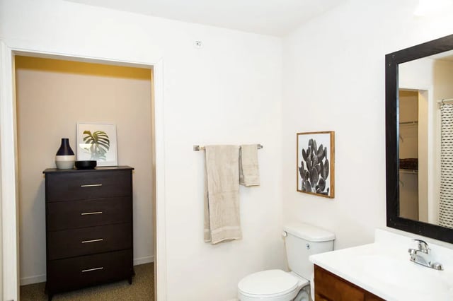 Toilet dresser towels cactus art bathroom at Grove at Slippery Rock in Slippery Rock Student Accommodation