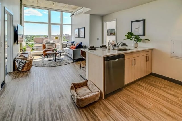 Sofa coffee table kitchen island dog bed living room at Chapter at Madison in Madison Student Accommodation