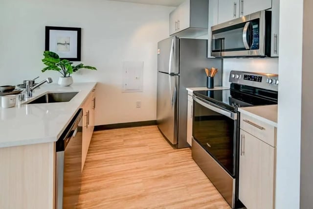 Modern kitchen with stainless steel appliances and dishwasher kitchen at Chapter at Madison in Madison Student Accommodation