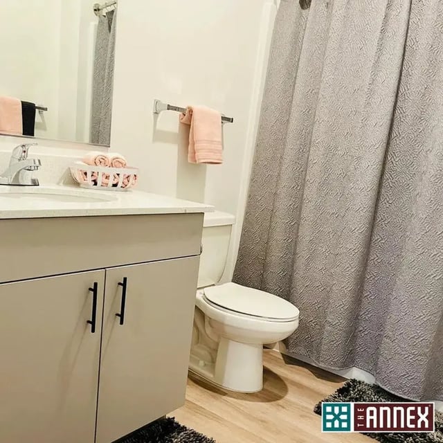 Sink vanity toilet and shower curtain bathroom at The Annex at Pullman in Pullman Student Accommodation