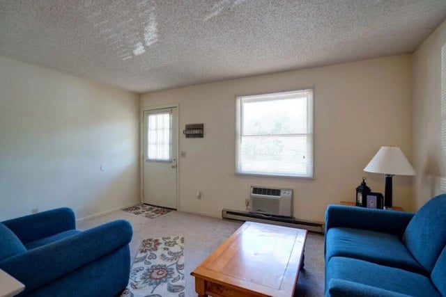 Blue sofas coffee table with rugs living room at Grand Duke in Harrisonburg Student Accommodation
