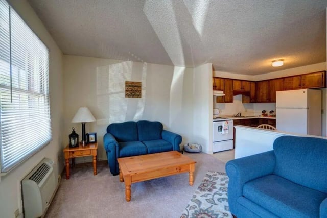 Two blue sofas wooden coffee table kitchen living room at Grand Duke in Harrisonburg Student Accommodation