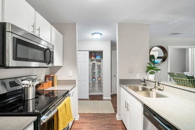 Stainless steel appliances pantry and sink kitchen at The Wilde Raleigh in Raleigh Student Accommodation