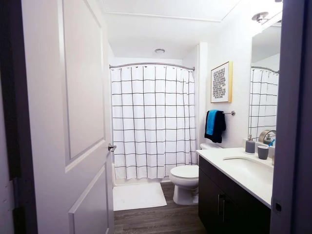 Toilet sink and shower curtain bathroom at Liv+ Arlington in Arlington Student Accommodation