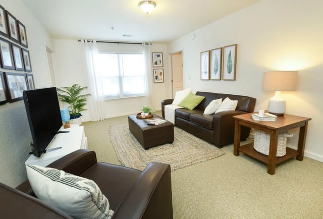 Brown sofa ottoman tv and rug living room at The Verge at Grand Forks in Grand Forks Student Accommodation