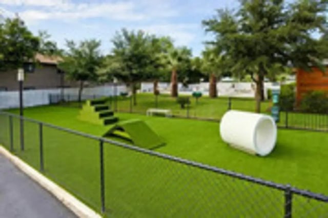 Dog agility course with tunnel playing area at Establishment in Austin Student Accommodation
