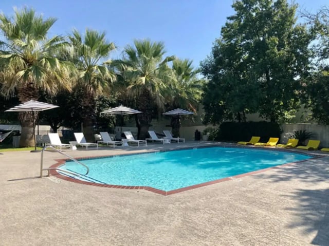 Pool lounge chairs umbrellas palm trees exterior at Establishment in Austin Student Accommodation