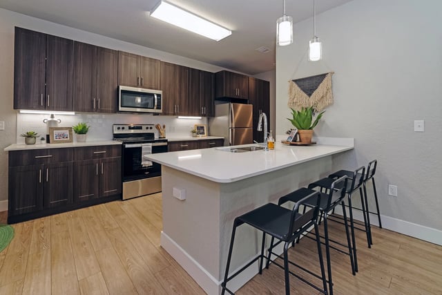 Dark cabinets stainless steel appliances island kitchen at Alsander GNV in Gainesville Student Accommodation