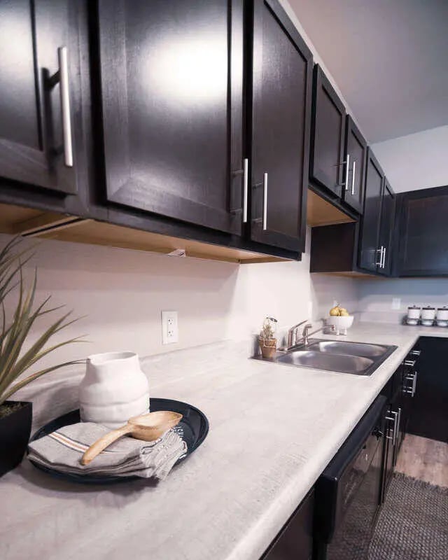 Dark cabinets countertop sink and tray kitchen at Goodnight Commons in Austin Student Accommodation