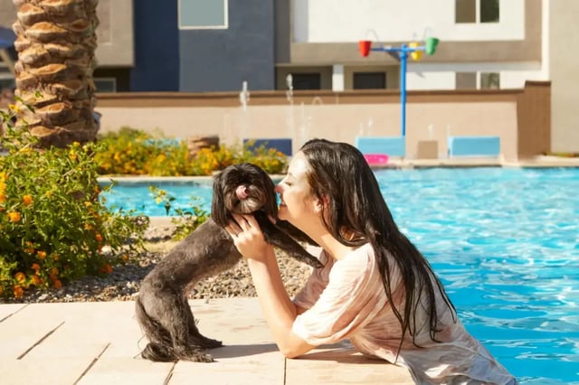 Woman with dog by pool exterior at BB Living at Civic Square in Goodyear Student Accommodation