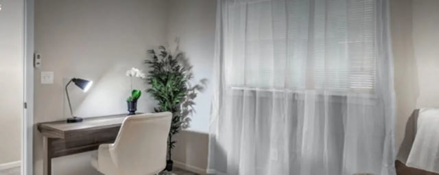Desk chair lamp plant window study area at Regency Gardens in Bryan Student Accommodation