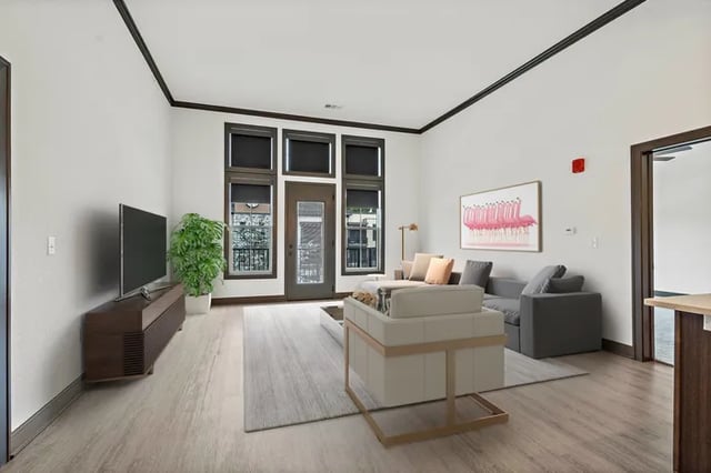 Modern living room with sofa TV and plant living room at Parkville Flats in Parkville Student Accommodation
