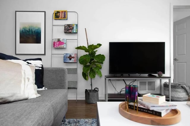 Sofa framed art magazines plant television living room at Locale Student Housing in Allendale Student Accommodation