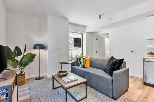 Gray sofa coffee table plant lamp living room at Ace Berkeley in Berkeley Student Accommodation