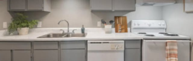 Kitchen counter sink stove dishwasher plant kitchen at The Grand 1501 in College Station Student Accommodation