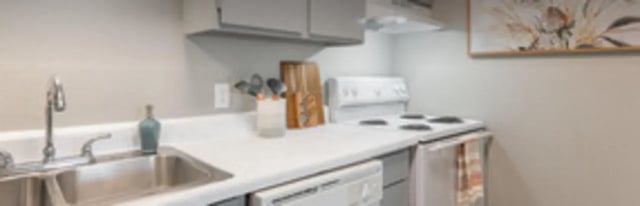Sink stove and cabinets kitchen at The Grand 1501 in College Station Student Accommodation