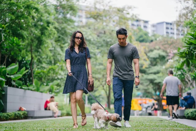 Couple walking dog in park exterior at The Mercury in Austin Student Accommodation