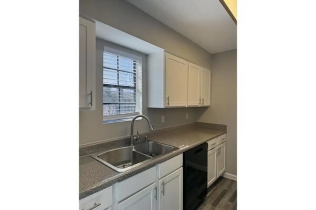 Sink cabinets countertop window and dishwasher kitchen at Villas at Alameda in Fort Worth Student Accommodation